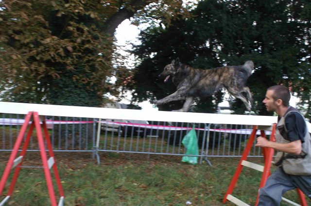 foire-haricots 2011-09-17et18